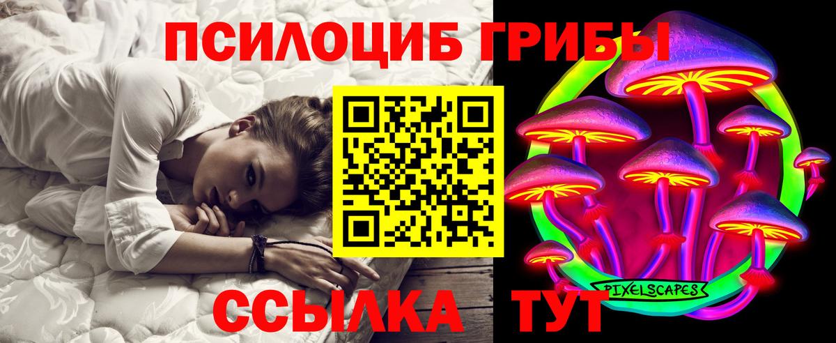Псилоцибиновые грибы мицелий  Галлюциногенные грибы Psilocybine cubensis  Новочеркасск  Вход с VPN 